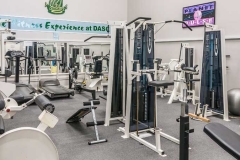 DASC fitness suite, Disley